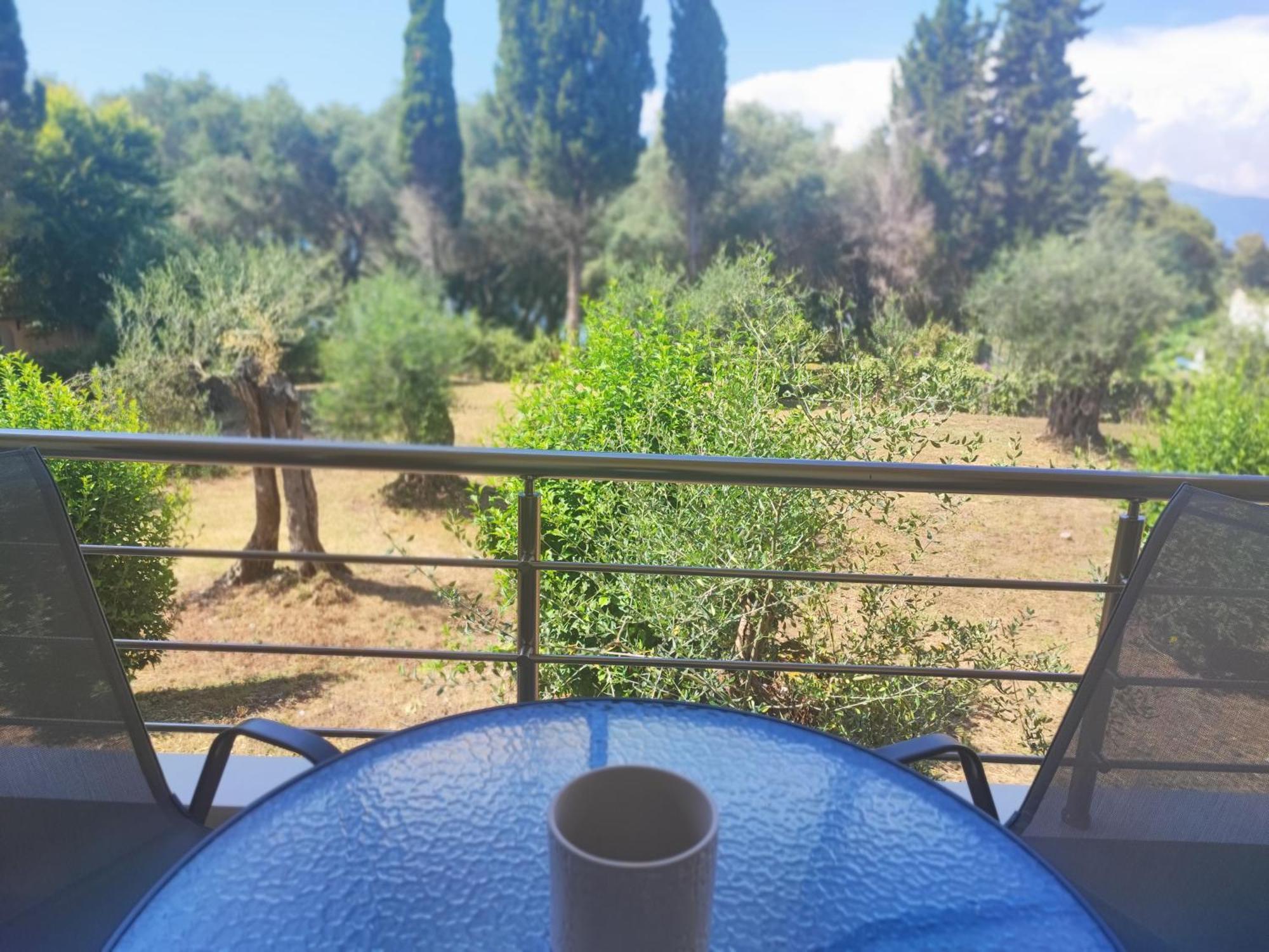 Coritos Holiday Apartments Κοντόκαλι Εξωτερικό φωτογραφία